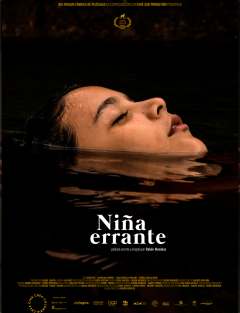 მოხეტიალე გოგო ქართულად - Niña errante