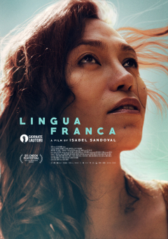 ლინგვა ფრანკა ქართულად - Lingua Franca