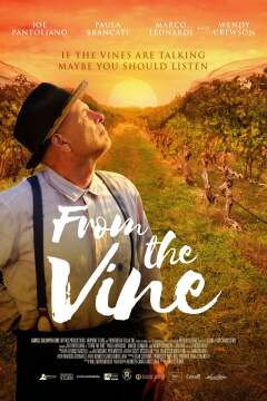 ვაზიდან ქართულად - From the Vine