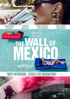 მექსიკის კედელი ქართულად - The Wall of Mexico
