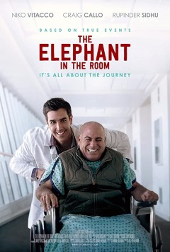 ოთახში მყოფი სპილო ქართულად - The Elephant in the