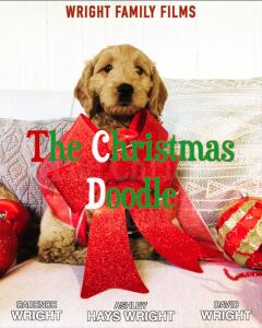 საშობაო დუდლი ქართულად - The Christmas Doodle