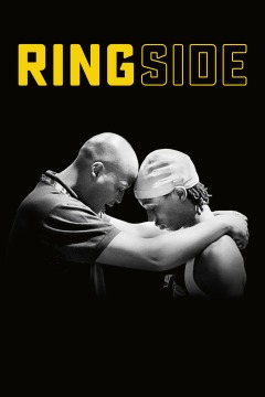 კრივის ხელთათმანი ქართულად - Ringside
