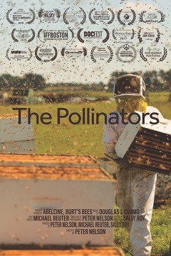 დამტვერავი ქართულად - The Pollinators