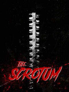 სკროტუმი ქართულად - The Scrotum
