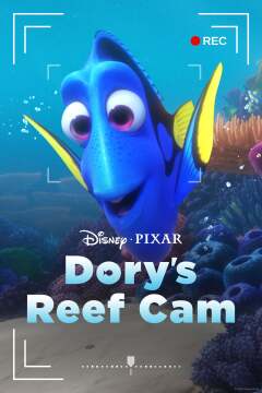 დორის რიფების ვიდეოკამერა ქართულად - Dorys Reef