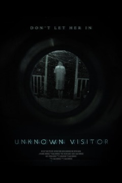 უცნობი სტუმარი ქართულად - Unknown Visitor