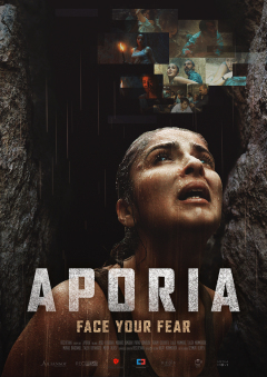 აპორია ქართულად - Aporia