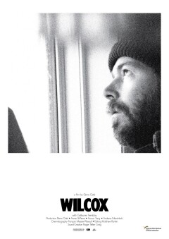 უილკოქსი ქართულად - Wilcox