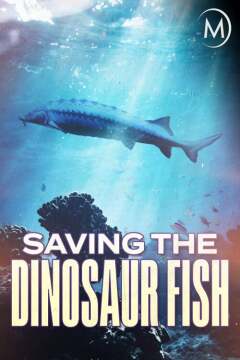 დინოზავრი თევზის გადარჩენა ქართულად - Saving the