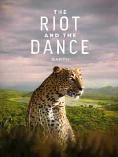ბუნტი და ცეკვა ქართულად - The Riot and the Dance
