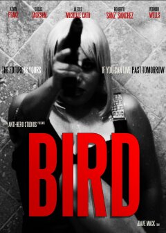 ჩიტი ქართულად - Bird