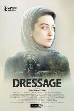 დრესაჟი ქართულად - Dressage