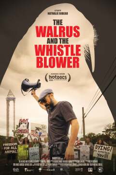 მორჟი და ინფორმატორი ქართულად - The Walrus and