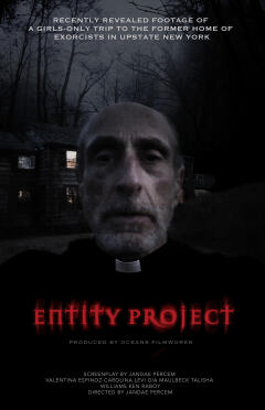 პროექტი რეალური არსებობა ქართულად - Entity Project