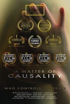 მიზეზობრიობა ქართულად - A Matter of Causality