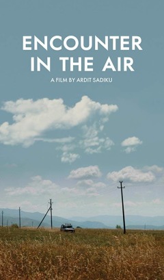 შეხვედრა ჰაერში ქართულად - Encounter in the Air