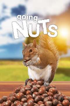 ციყვების სიგიჟეები ქართულად - Going Nuts: Tales