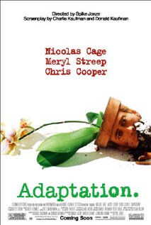 ადაპტაცია ქართულად - Adaptation.