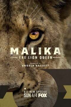 მალიკა ლომი დედოფალი ქართულად - Malika the Lion