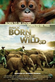 ველურებად დაბადებულნი ქართულად - Born to Be Wild