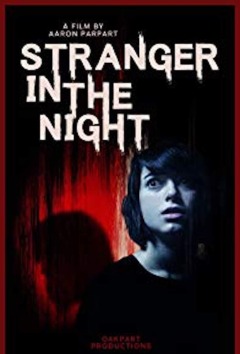 უცნობი ღამით ქართულად - Stranger in the Night