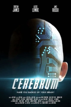 ნახევარსფერო ქართულად - Cerebrum
