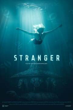 უცნობი ქართულად - Stranger