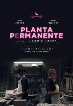 მუდმივი მცენარე ქართულად - Planta permanente