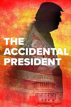 შემთხვევითი პრეზიდენტი ქართულად - The Accidental