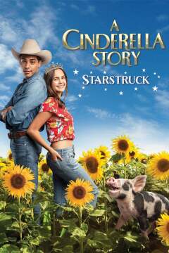 A Cinderella Story: Starstruck ქართულად - История