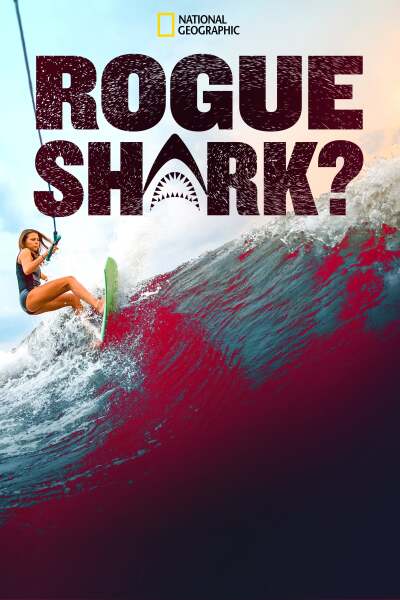 განსხვავებული ზვიგენი? ქართულად - Rogue Shark?