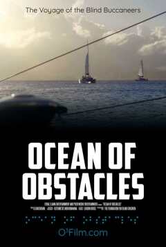 დაბრკოლებების ოკეანე ქართულად - Ocean of Obstacles