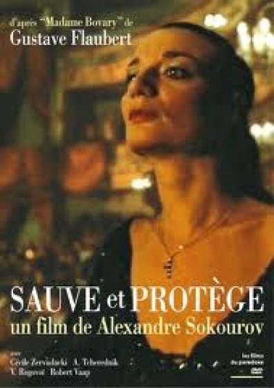მადამ ბოვარი ქართულად - Madame Bovary