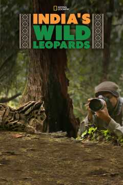 Indias Wild Leopards