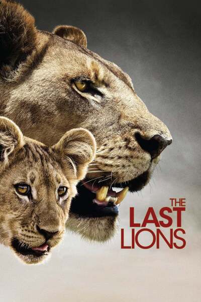უკანასკნელი ლომები ქართულად - The Last Lions