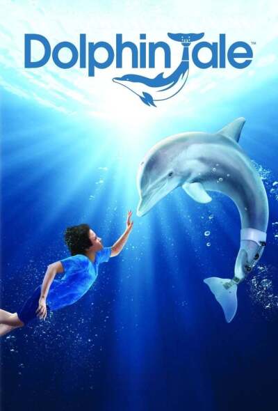 დელფინის ამბავი ქართულად - Dolphin Tale