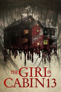 გოგონა მეცამეტე ჯიხურში ქართულად - The Girl in