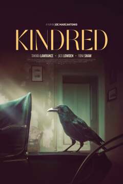 ნათესაობა ქართულად - Kindred