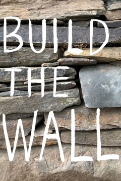 კედლის შენება ქართულად - Build the Wall