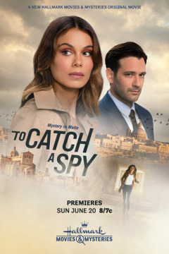 ჯაშუშის დაჭერა ქართულად - To Catch a Spy