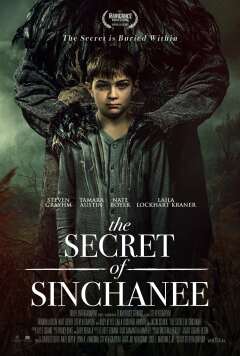 სინხანის საიდუმლო ქართულად - The Secret of
