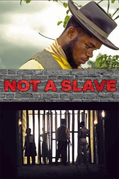 არა მონობა ქართულად - Not a Slave