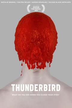 ქარიშხლის მაცნე ქართულად - Thunderbird