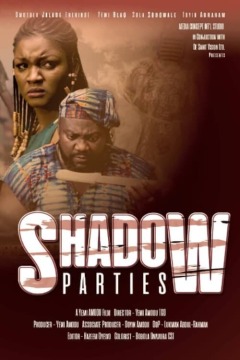 ჩრდილოვანი პარტიები ქართულად - Shadow Parties