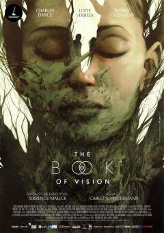 ხილვების წიგნი ქართულად - The Book of Vision