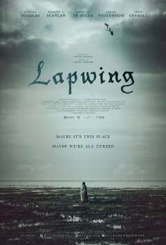 ლაპინგი ქართულად - Lapwing