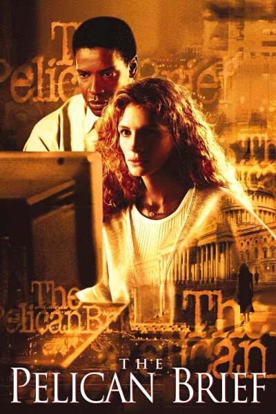 პელიკანის საქმე ქართულად - The Pelican Brief