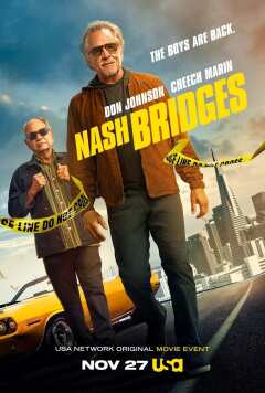 ნეშ ბრიჯესი ქართულად - Nash Bridges