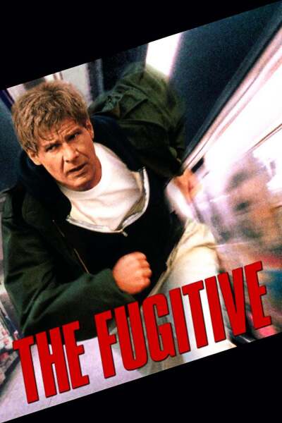 გაქცეული ქართულად - The Fugitive